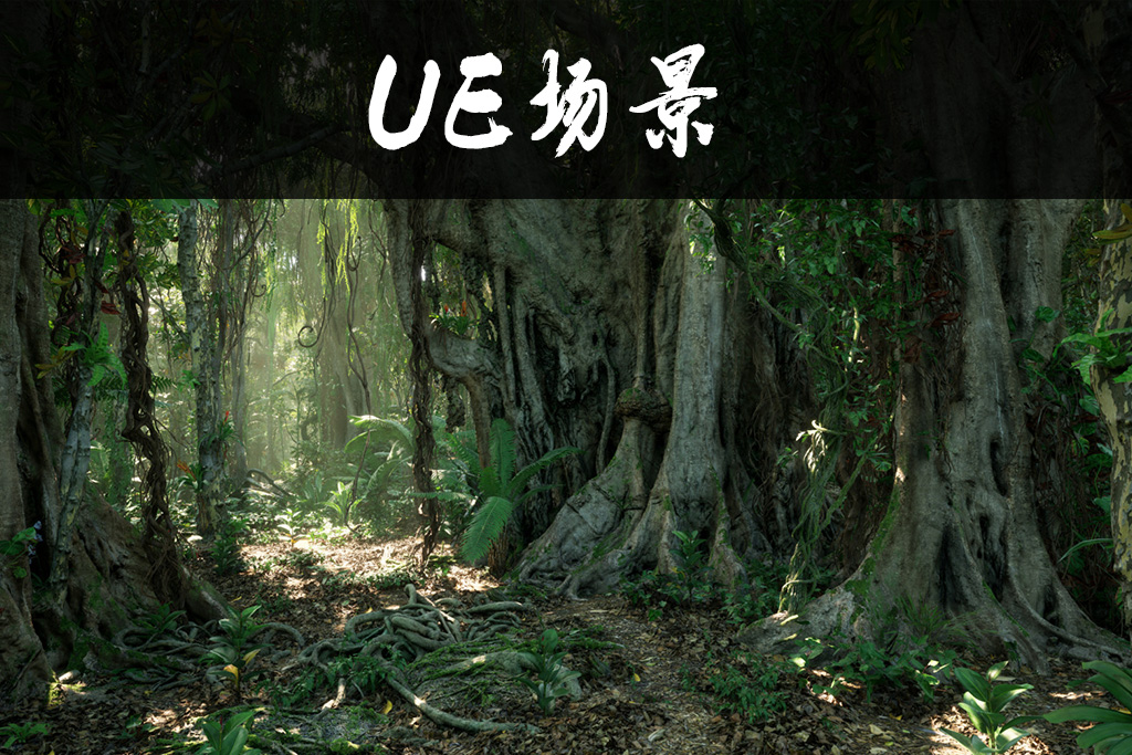 热带雨林树木生物群落