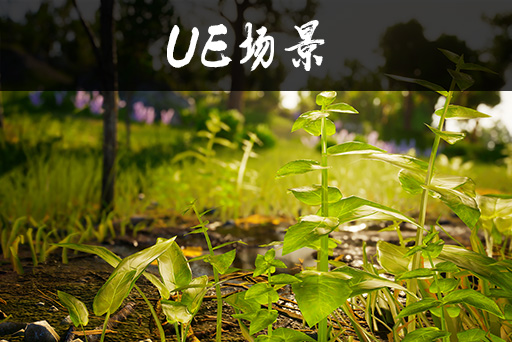 多种生物群套装