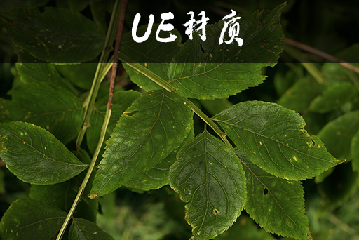 树干和树叶着色器与教学