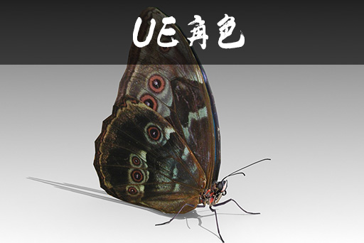 写实蝴蝶(带动画)