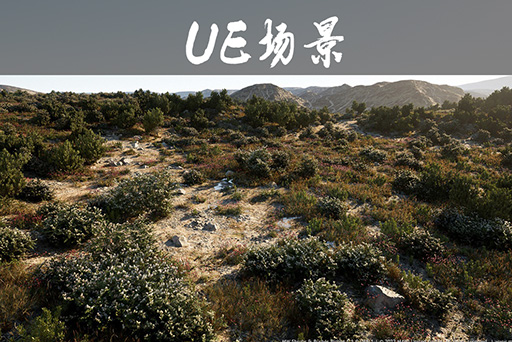 灌木丛生物群落